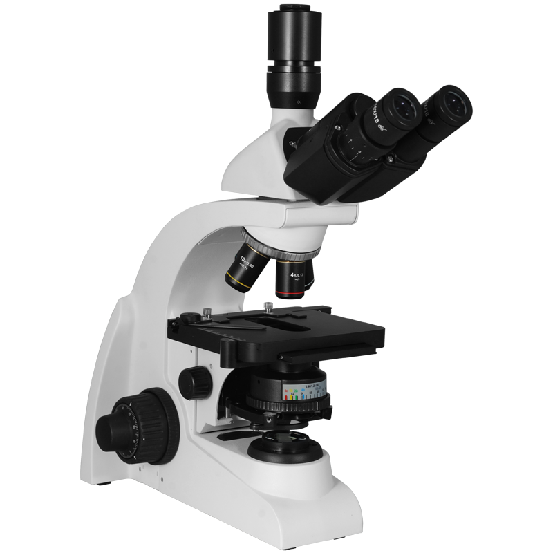 Biological Microscope